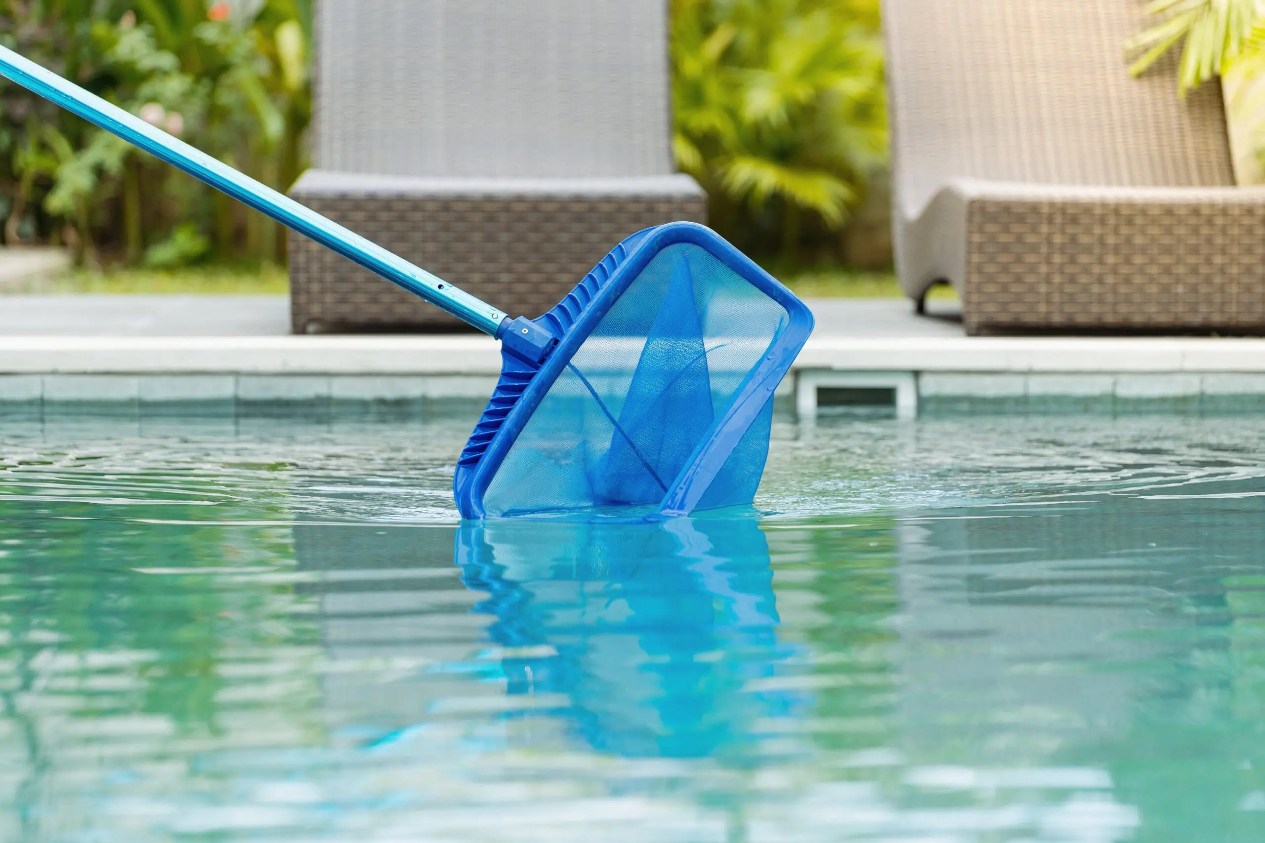 A pool skimmer net on a long handle is being used to clean the surface of a swimming pool. Two wicker lounge chairs are visible in the background.